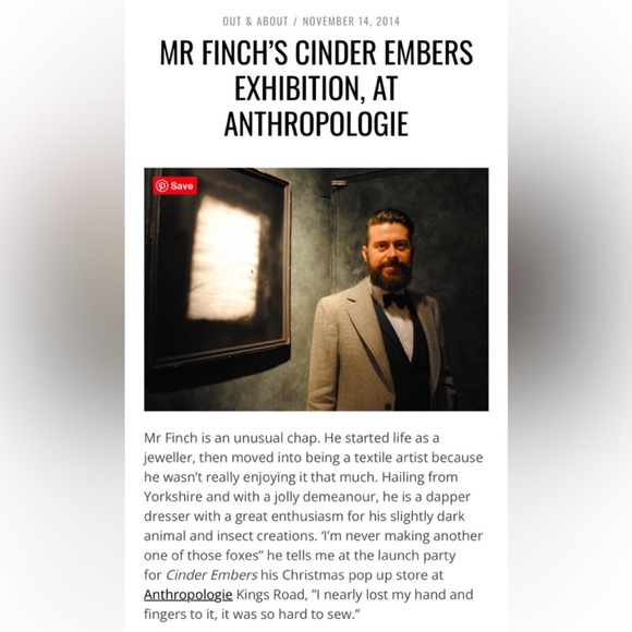 Rare! Mister Finch Textile Moth - Picture 10 of 12